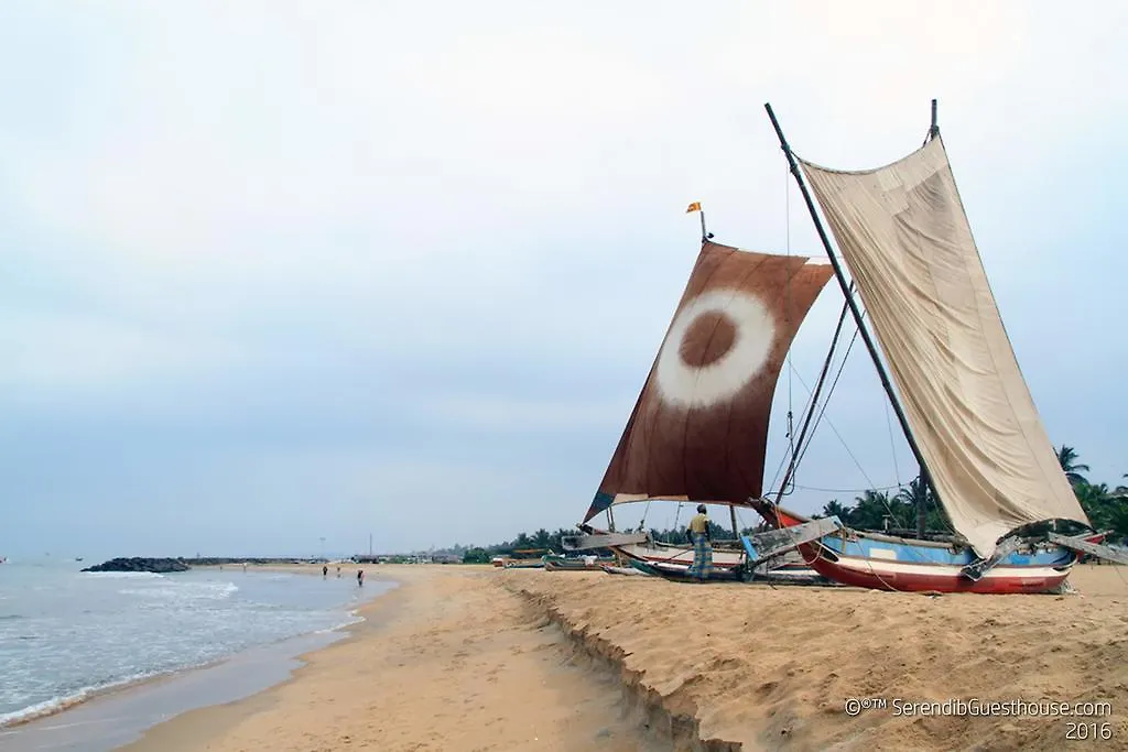 Apartment Serendib Guest House Negombo Sri Lanka