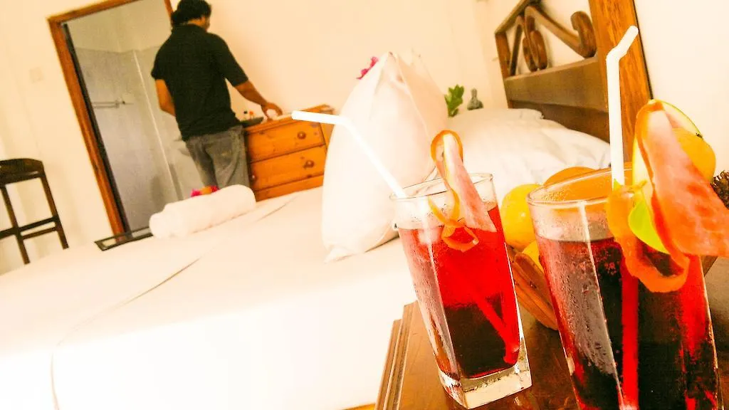 Apartment Serendib Guest House Negombo Sri Lanka