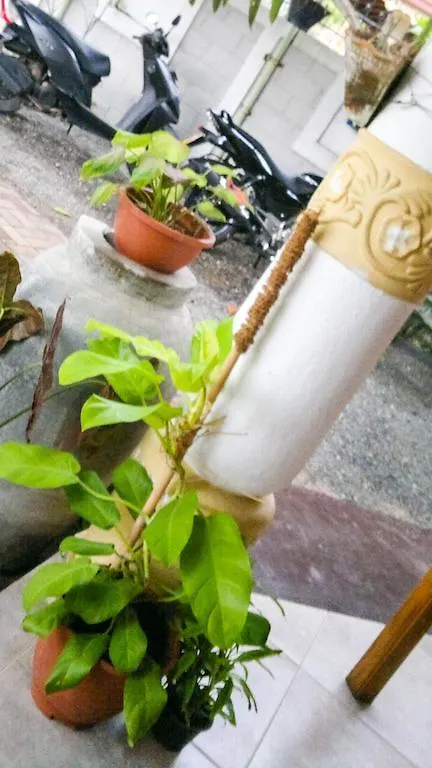 Serendib Guest House Negombo Apartment