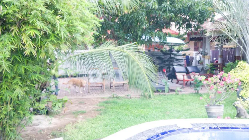 Serendib Guest House Negombo